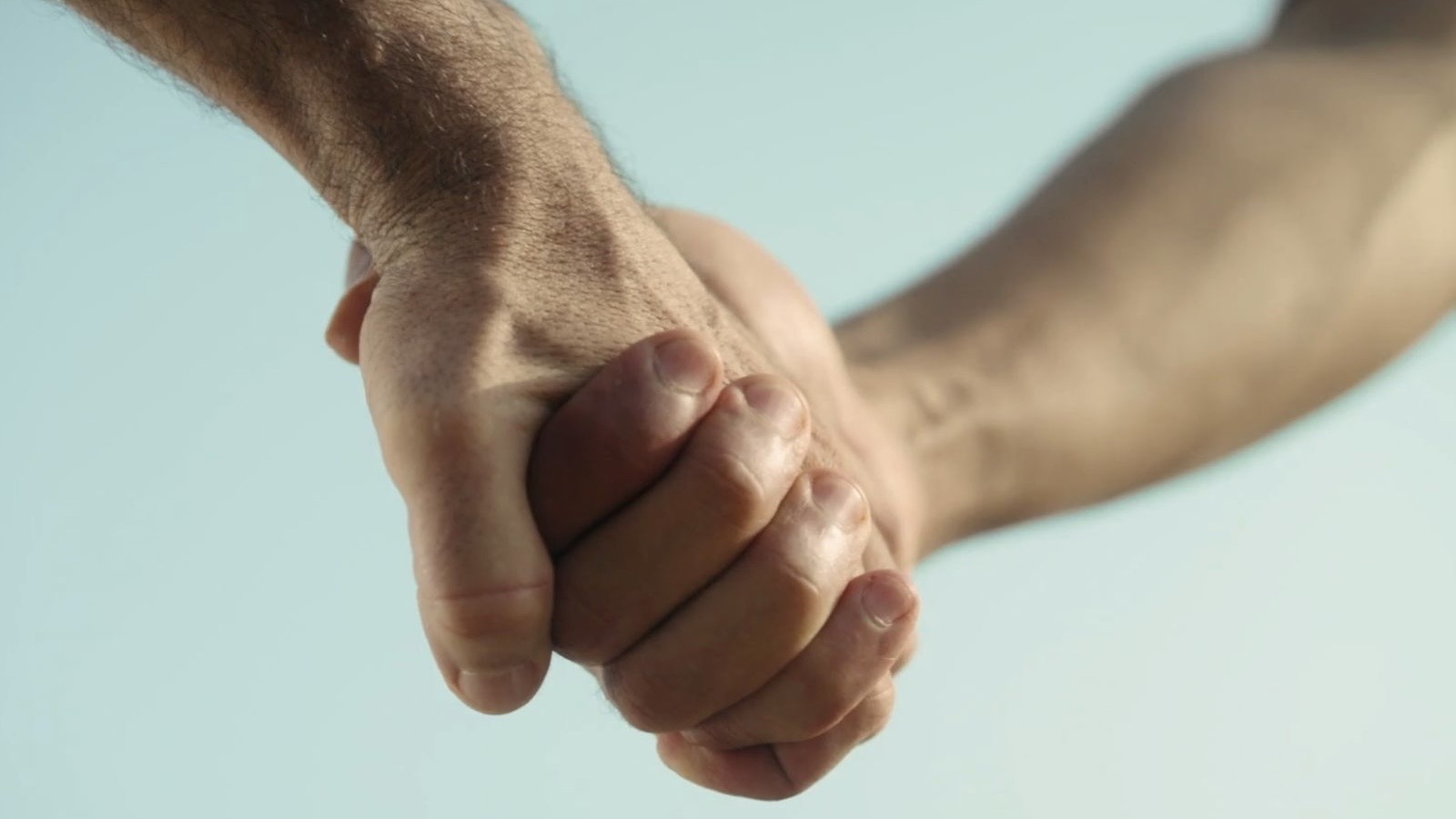 سور الوطن العظيم